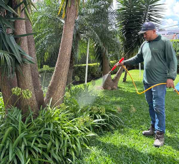 Carrossel-Paraiso-Paisagismo-Jardinagem-Manutenção-equipe-especializada-equipamentos-de-ponta-02