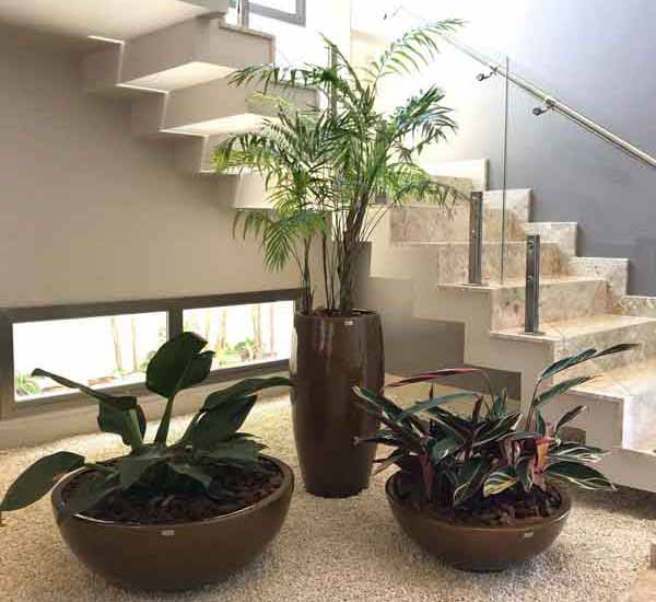 plantas-e-vasos-sustentaveis-paraiso-paisagismo-grande-sao-paulo-A
