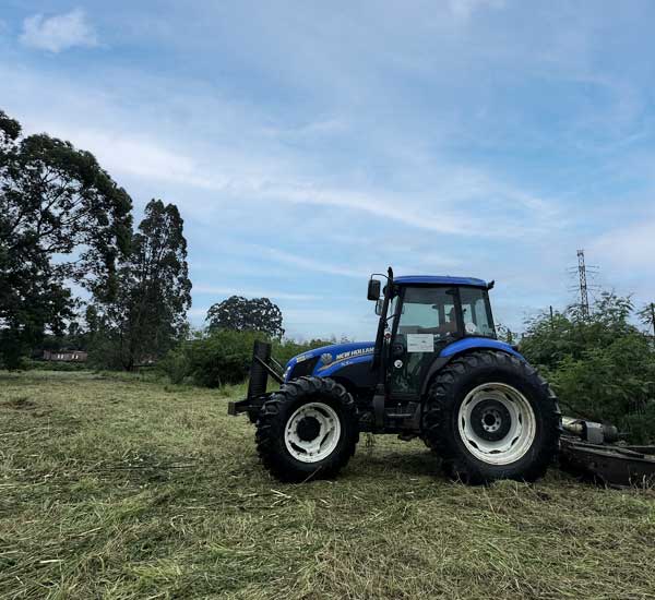 Carrossel-Paraiso-Paisagismo-Jardinagem-Manutenção-equipe-especializada-equipamentos-de-ponta-08