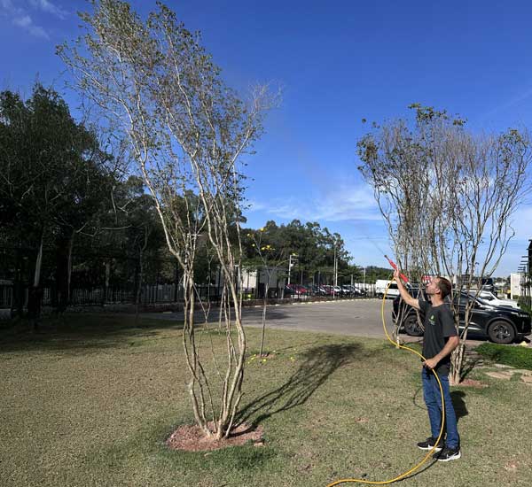 Carrossel-Paraiso-Paisagismo-Jardinagem-Manutenção-equipe-especializada-equipamentos-de-ponta-12
