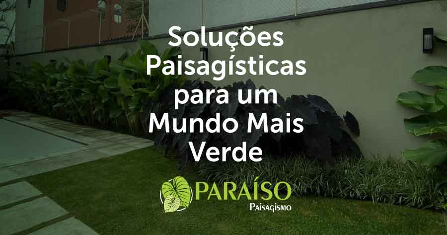 Paraiso Paisagismo